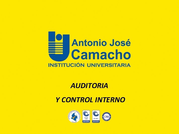 AUDITORIA Y CONTROL INTERNO 