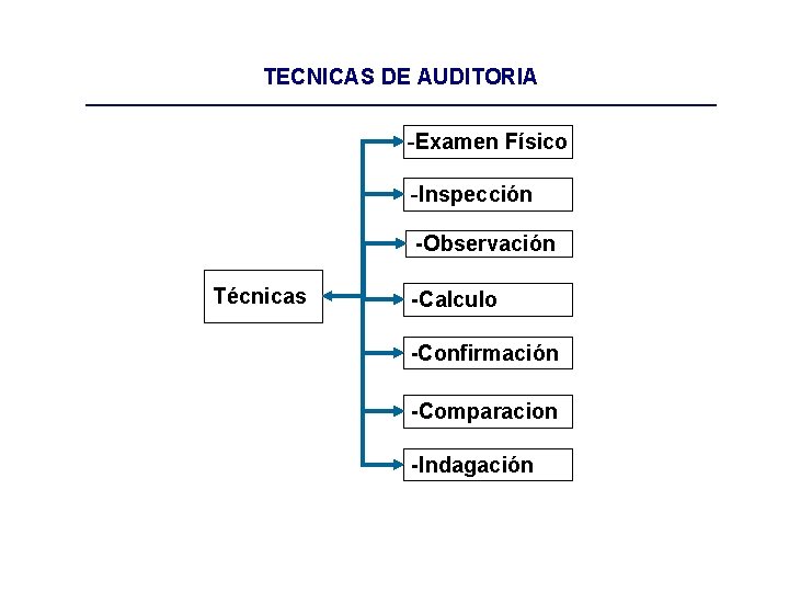 TECNICAS DE AUDITORIA -Examen Físico -Inspección -Observación Técnicas -Calculo -Confirmación -Comparacion -Indagación 