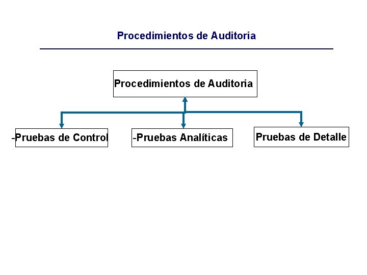Procedimientos de Auditoria -Pruebas de Control -Pruebas Analíticas Pruebas de Detalle 