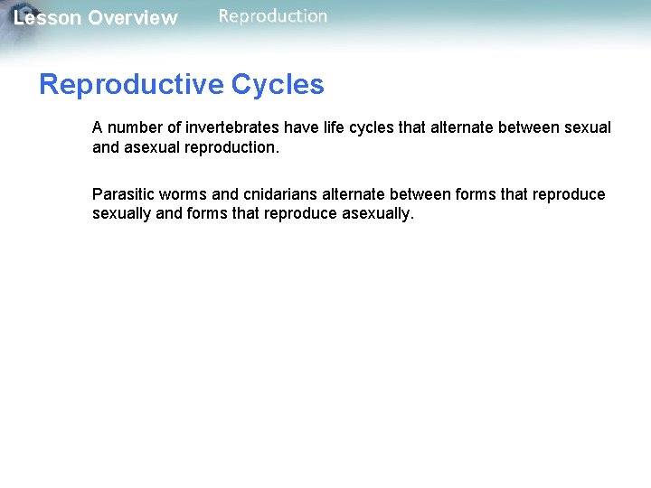 Lesson Overview Reproduction Reproductive Cycles A number of invertebrates have life cycles that alternate