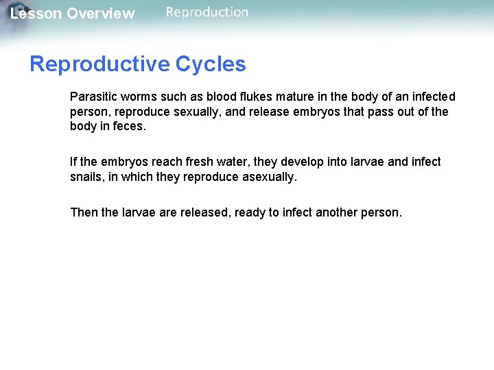 Lesson Overview Reproduction Reproductive Cycles Parasitic worms such as blood flukes mature in the