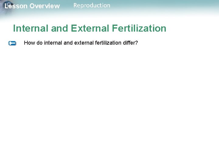 Lesson Overview Reproduction Internal and External Fertilization How do internal and external fertilization differ?