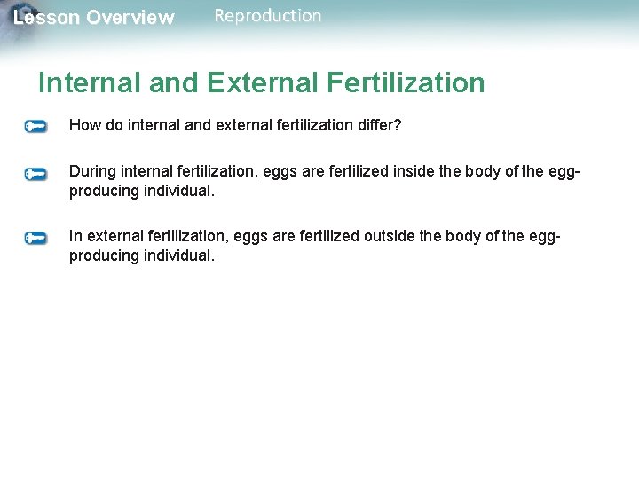 Lesson Overview Reproduction Internal and External Fertilization How do internal and external fertilization differ?