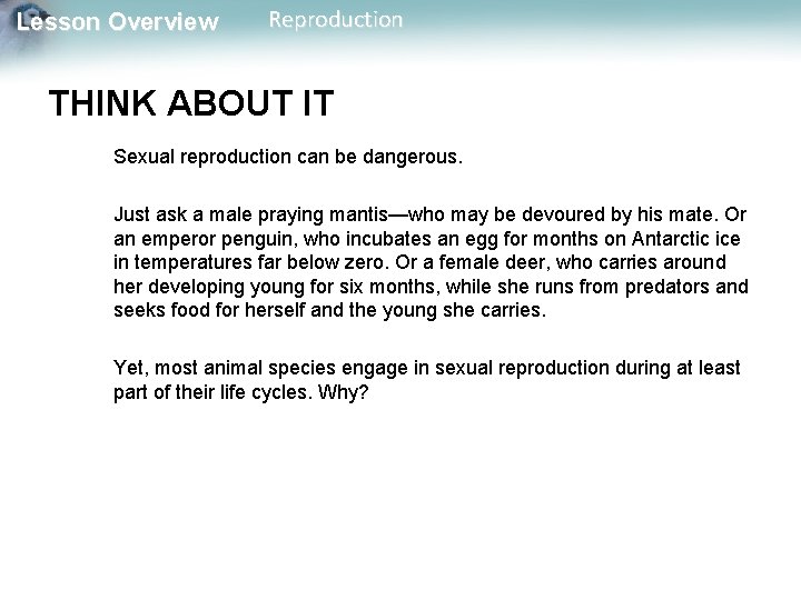 Lesson Overview Reproduction THINK ABOUT IT Sexual reproduction can be dangerous. Just ask a