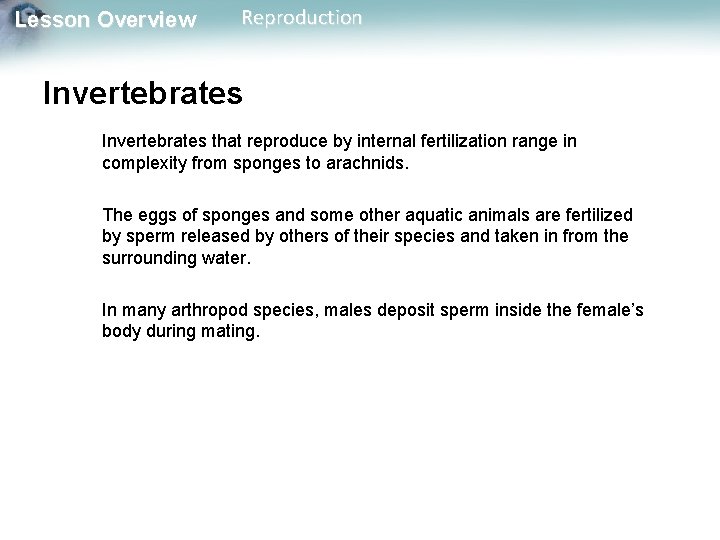 Lesson Overview Reproduction Invertebrates that reproduce by internal fertilization range in complexity from sponges