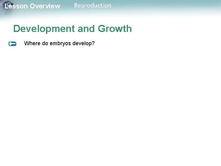 Lesson Overview Reproduction Development and Growth Where do embryos develop? 