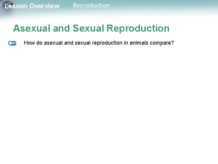 Lesson Overview Reproduction Asexual and Sexual Reproduction How do asexual and sexual reproduction in