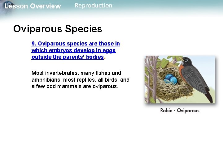 Lesson Overview Reproduction Oviparous Species 9. Oviparous species are those in which embryos develop