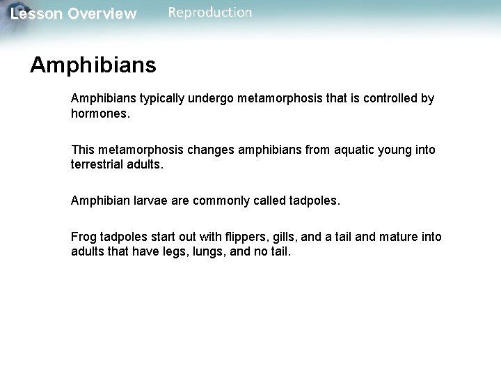 Lesson Overview Reproduction Amphibians typically undergo metamorphosis that is controlled by hormones. This metamorphosis