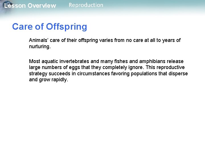 Lesson Overview Reproduction Care of Offspring Animals’ care of their offspring varies from no