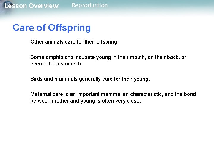 Lesson Overview Reproduction Care of Offspring Other animals care for their offspring. Some amphibians