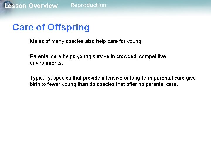 Lesson Overview Reproduction Care of Offspring Males of many species also help care for