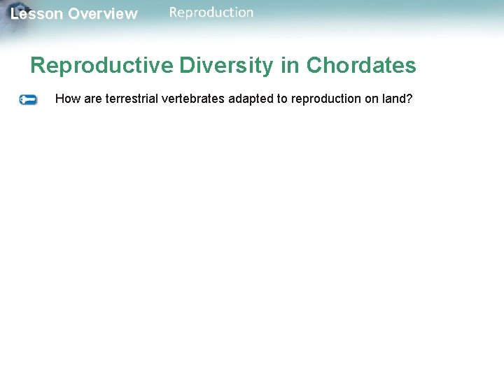 Lesson Overview Reproduction Reproductive Diversity in Chordates How are terrestrial vertebrates adapted to reproduction