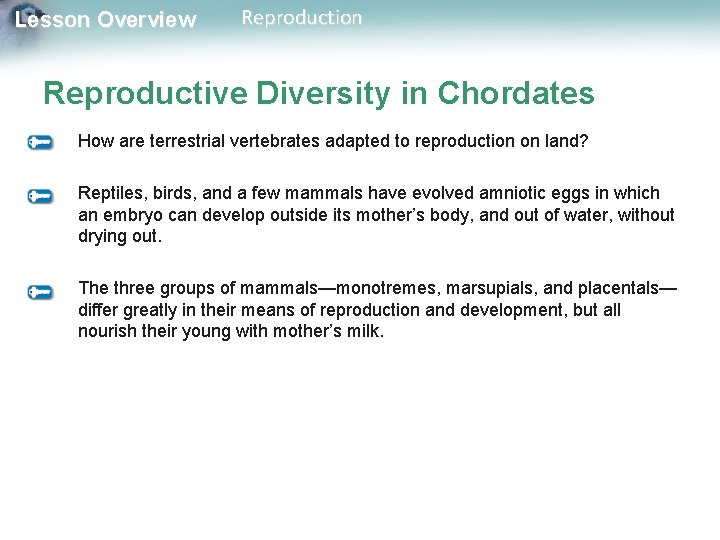 Lesson Overview Reproduction Reproductive Diversity in Chordates How are terrestrial vertebrates adapted to reproduction