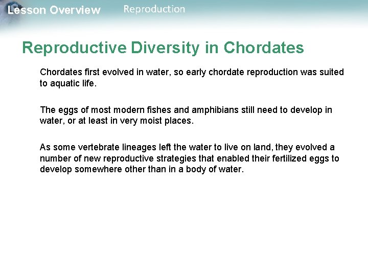 Lesson Overview Reproduction Reproductive Diversity in Chordates first evolved in water, so early chordate