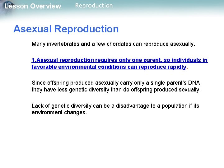 Lesson Overview Reproduction Asexual Reproduction Many invertebrates and a few chordates can reproduce asexually.