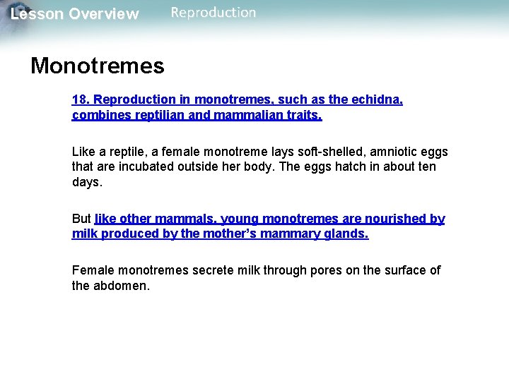 Lesson Overview Reproduction Monotremes 18. Reproduction in monotremes, such as the echidna, combines reptilian