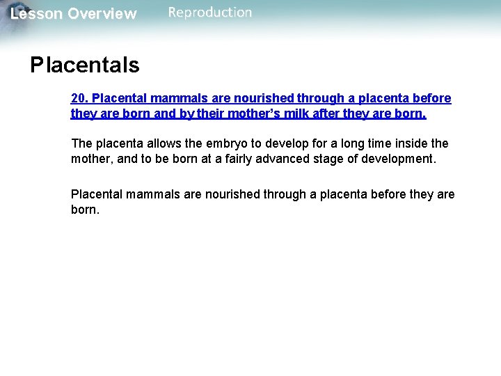 Lesson Overview Reproduction Placentals 20. Placental mammals are nourished through a placenta before they