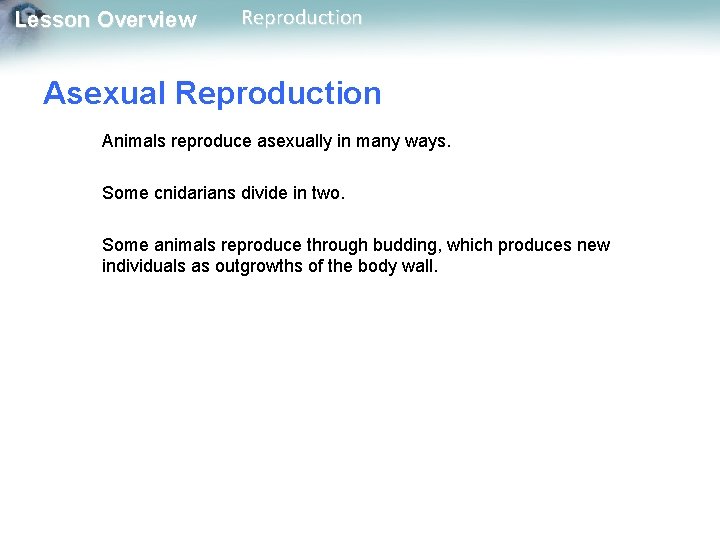 Lesson Overview Reproduction Asexual Reproduction Animals reproduce asexually in many ways. Some cnidarians divide