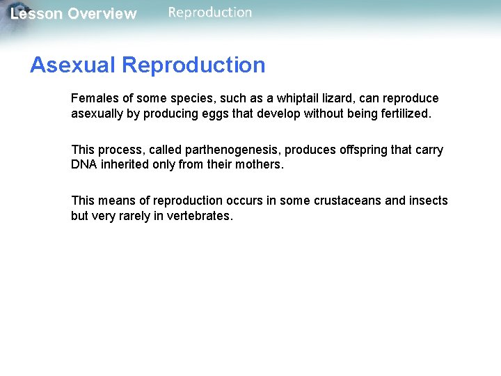 Lesson Overview Reproduction Asexual Reproduction Females of some species, such as a whiptail lizard,