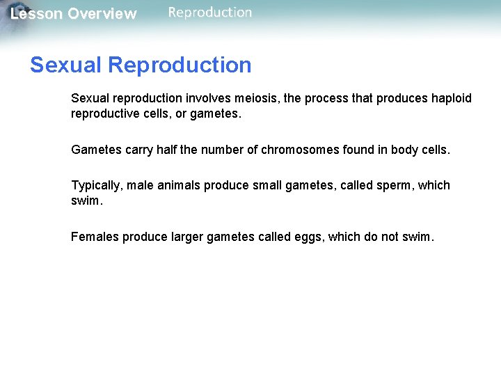 Lesson Overview Reproduction Sexual reproduction involves meiosis, the process that produces haploid reproductive cells,