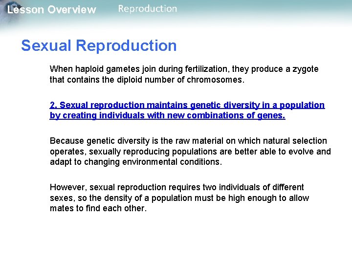 Lesson Overview Reproduction Sexual Reproduction When haploid gametes join during fertilization, they produce a