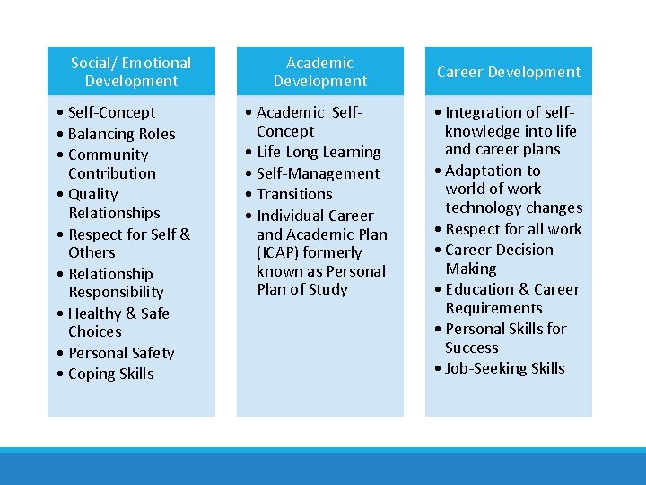 Social/ Emotional Development • Self-Concept • Balancing Roles • Community Contribution • Quality Relationships