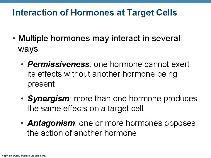 Interaction of Hormones at Target Cells • Multiple hormones may interact in several ways