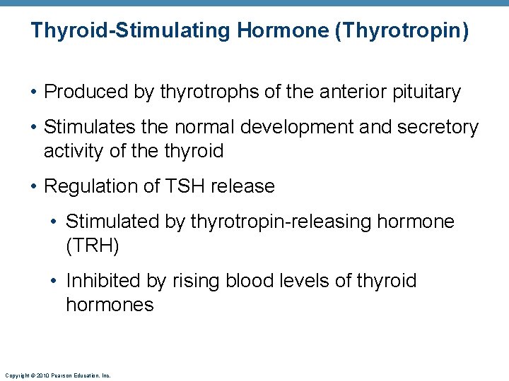 Thyroid-Stimulating Hormone (Thyrotropin) • Produced by thyrotrophs of the anterior pituitary • Stimulates the