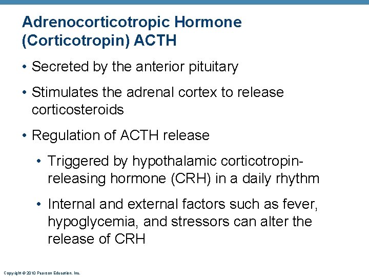 Adrenocorticotropic Hormone (Corticotropin) ACTH • Secreted by the anterior pituitary • Stimulates the adrenal