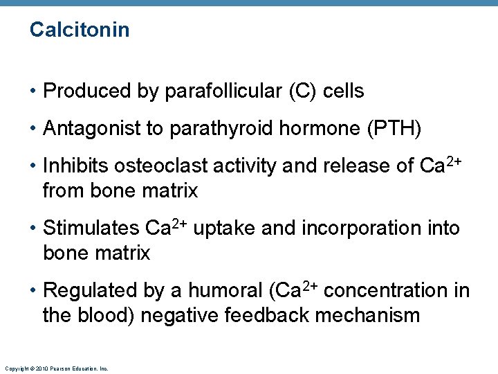 Calcitonin • Produced by parafollicular (C) cells • Antagonist to parathyroid hormone (PTH) •
