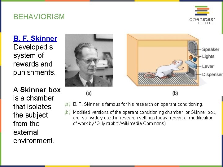 BEHAVIORISM B. F. Skinner Developed s system of rewards and punishments. A Skinner box