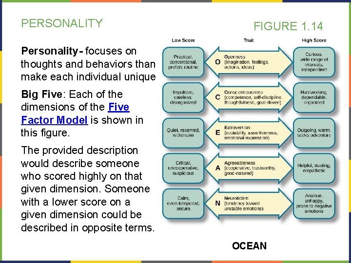 PERSONALITY FIGURE 1. 14 Personality- focuses on thoughts and behaviors than make each individual