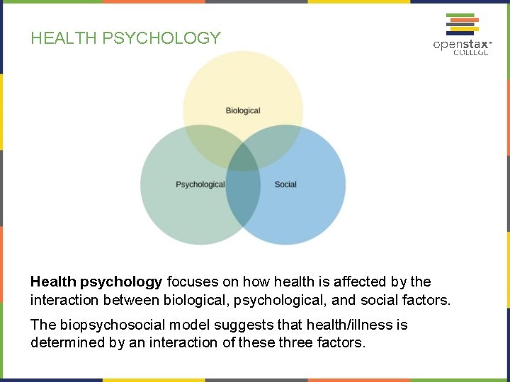 HEALTH PSYCHOLOGY Health psychology focuses on how health is affected by the interaction between
