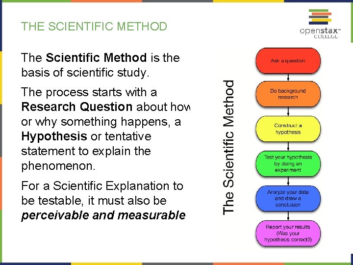 THE SCIENTIFIC METHOD The Scientific Method is the basis of scientific study. The process