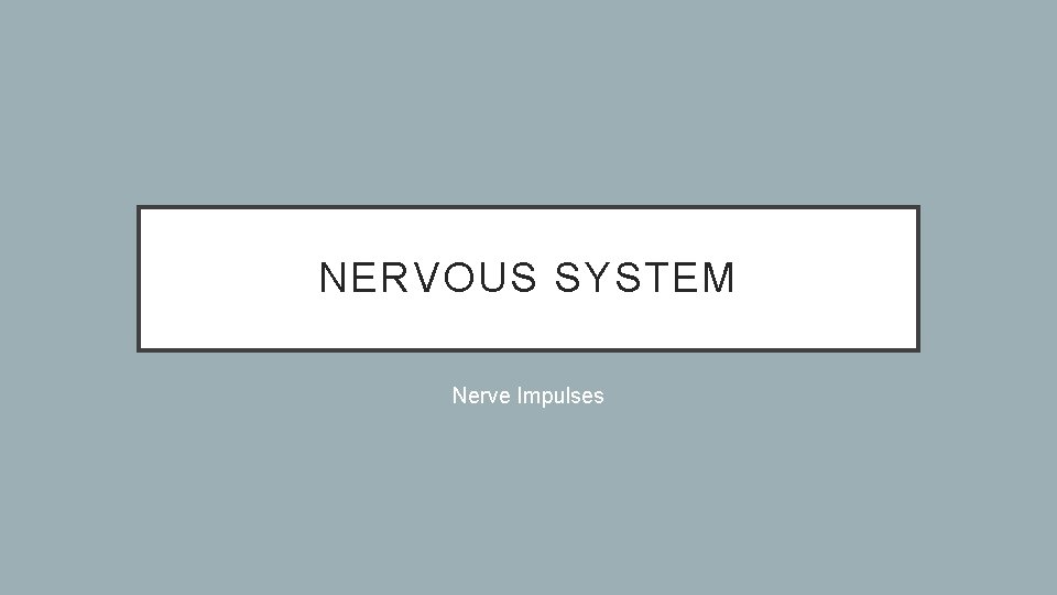 NERVOUS SYSTEM Nerve Impulses 