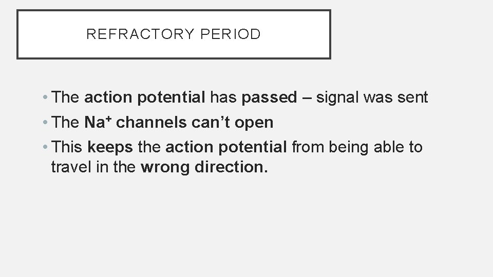 REFRACTORY PERIOD • The action potential has passed – signal was sent • The