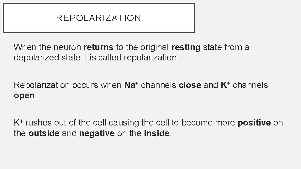 REPOLARIZATION When the neuron returns to the original resting state from a depolarized state