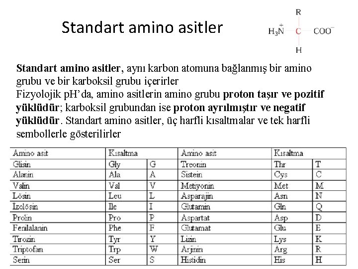 Standart amino asitler, aynı karbon atomuna bağlanmış bir amino grubu ve bir karboksil grubu