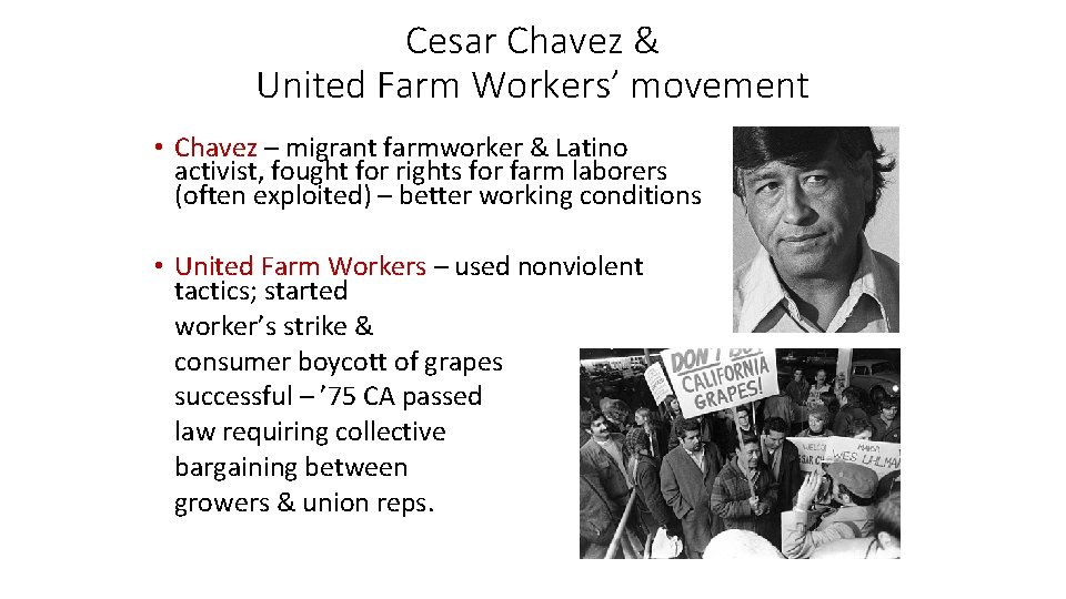 Cesar Chavez & United Farm Workers’ movement • Chavez – migrant farmworker & Latino