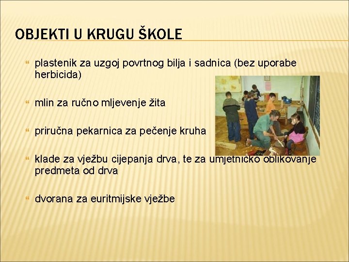 OBJEKTI U KRUGU ŠKOLE plastenik za uzgoj povrtnog bilja i sadnica (bez uporabe herbicida)