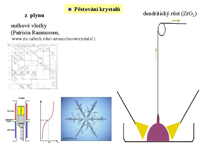 z plynu Pěstování krystalů sněhové vločky (Patricia Rasmussen, www. its. caltech. edu/~atomic/snowcrystals/ ) dendritický