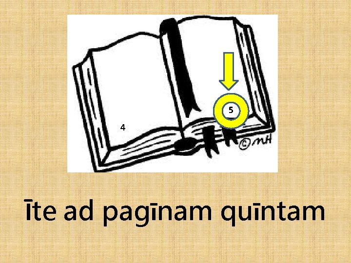 5 4 Īte ad pagīnam quīntam 