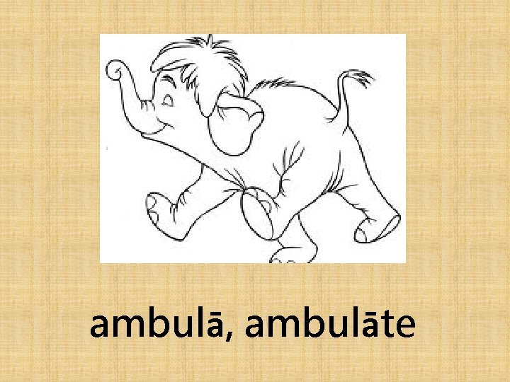 ambulā, ambulāte 