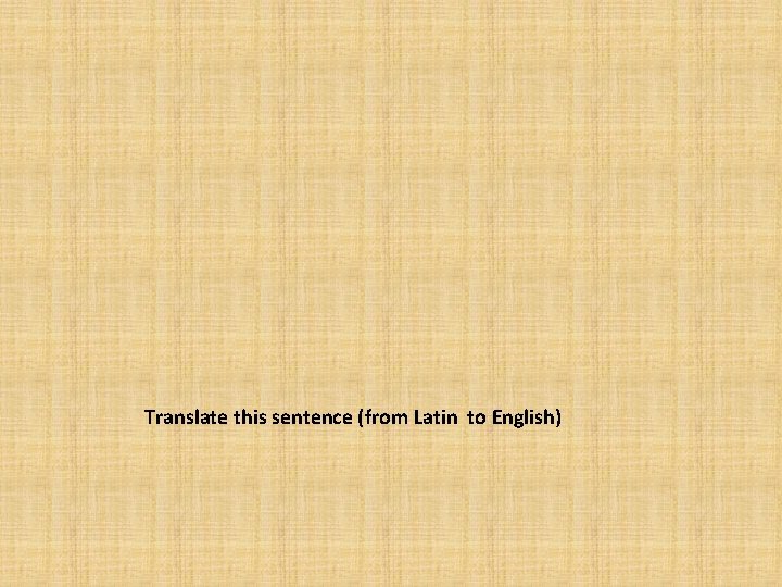 Translate this sentence (from Latin to English) 