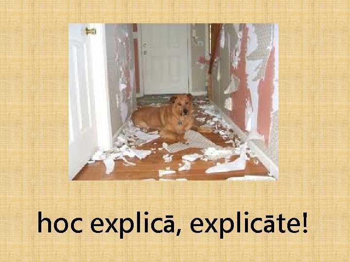 hoc explicā, explicāte! 