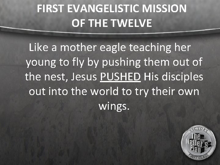 FIRST EVANGELISTIC MISSION OF THE TWELVE Like a mother eagle teaching her young to