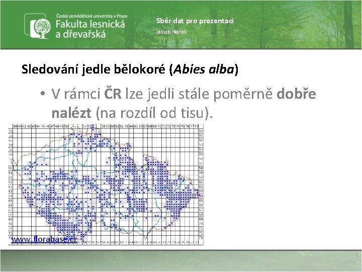 Sběr dat pro prezentaci Jakub Horák Sledování jedle bělokoré (Abies alba) • V rámci