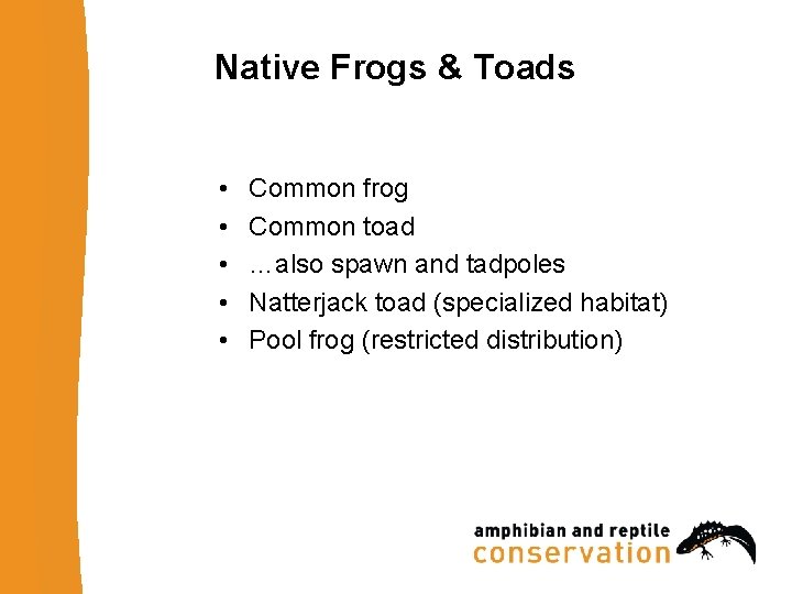 Native Frogs & Toads • • • Common frog Common toad …also spawn and