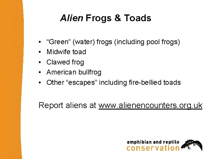 Alien Frogs & Toads • • • “Green” (water) frogs (including pool frogs) Midwife